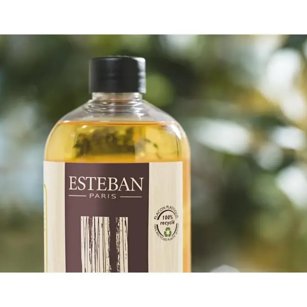 Recharge Cèdre pour bouquets parfumés Esteban - 500 ml