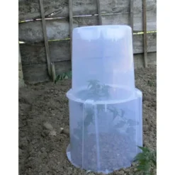 Rehausse Cloche transparent Ø40 cm