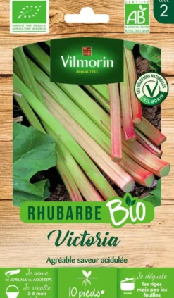 Rhubarbe Victoria Bio Vilmorin - graines à semer