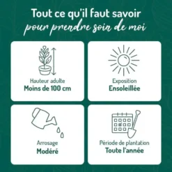 Rosier Léo Ferré® Label Rouge en pot de 5L
