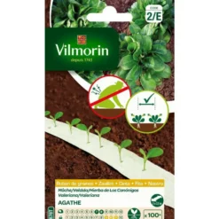 Ruban de graines de Mâche Agathe Vilmorin