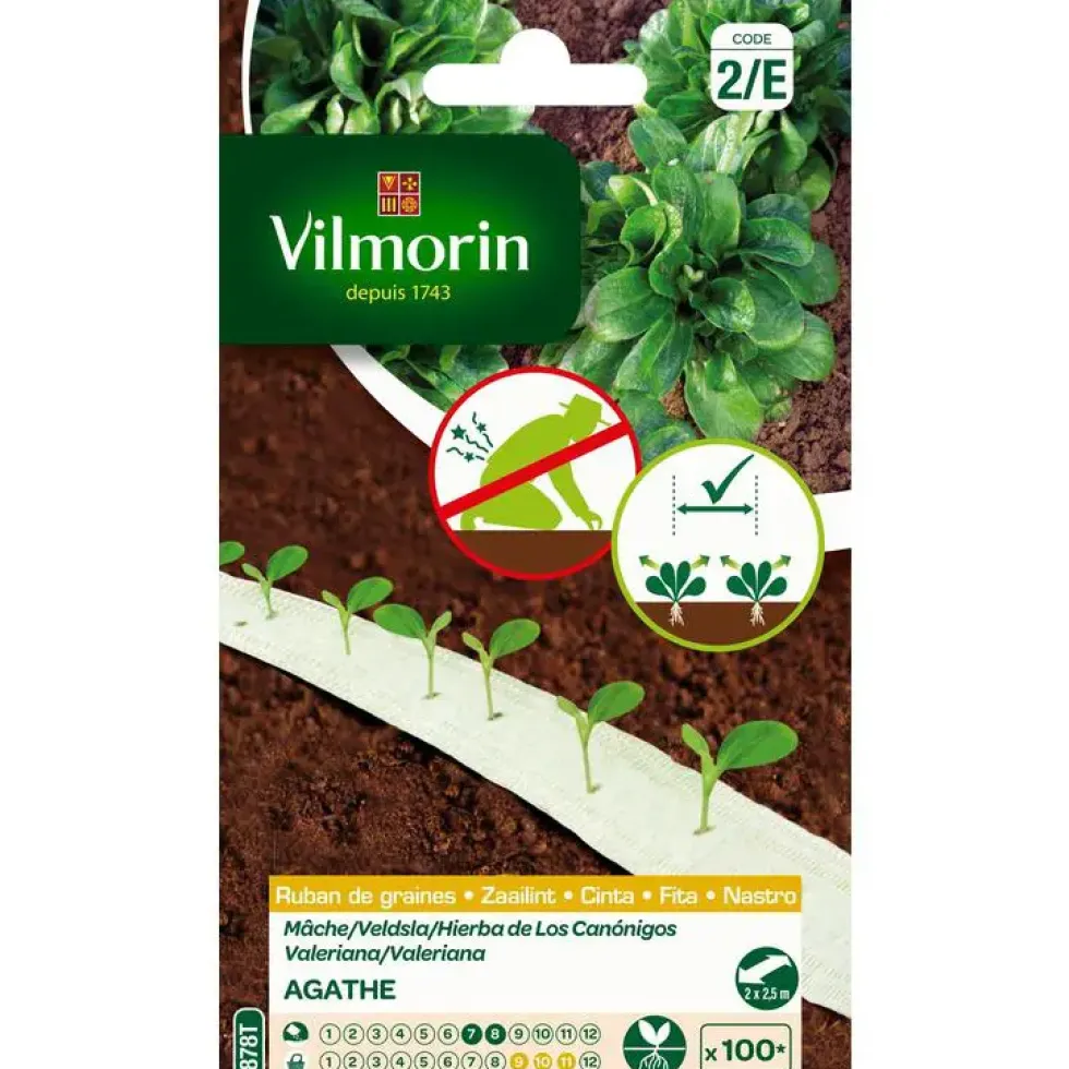 Ruban de graines de Mâche Agathe Vilmorin