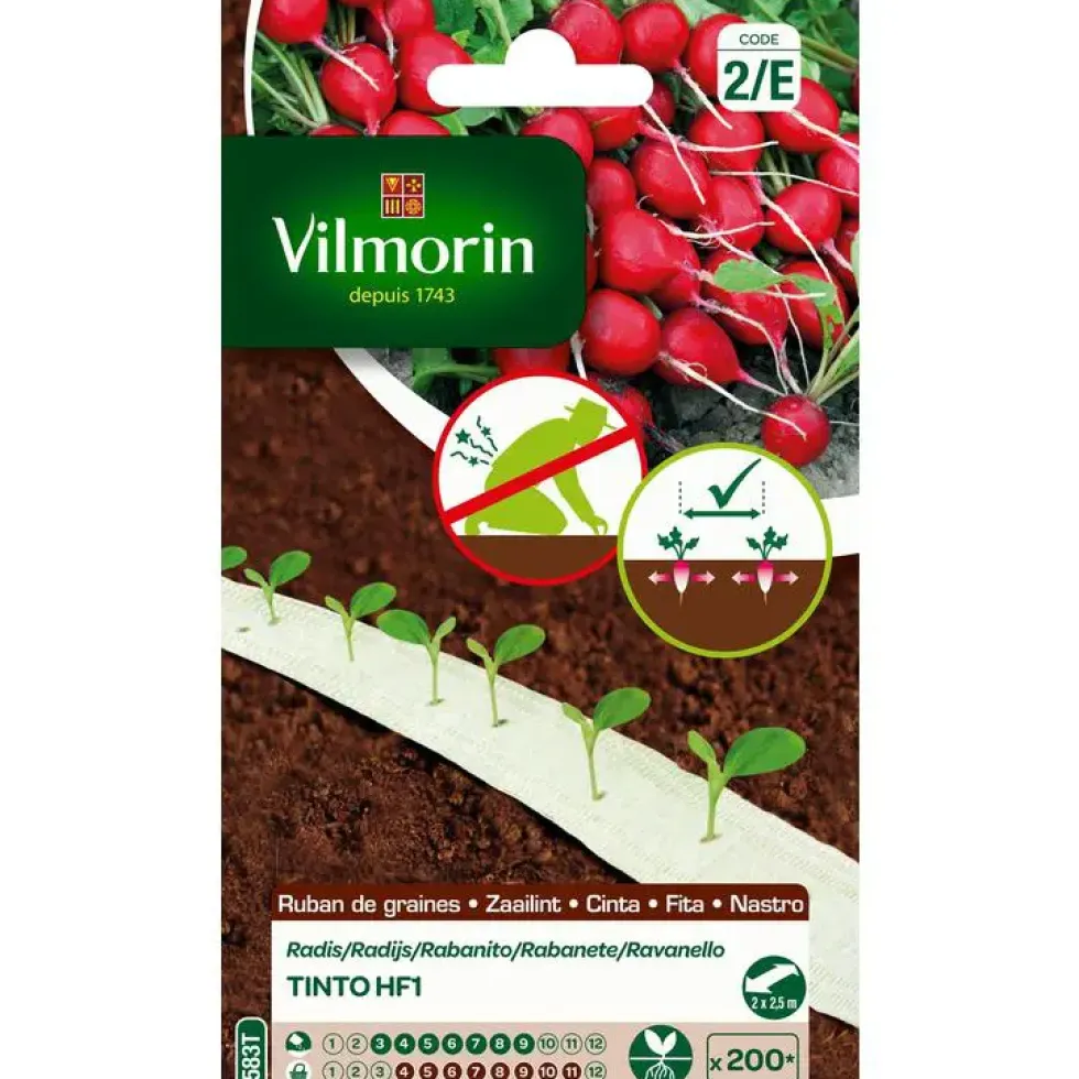 Ruban de graines de Radis Tinto Vilmorin