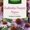 Rudbeckia Pourpre Magnus Vilmorin - graines à semer