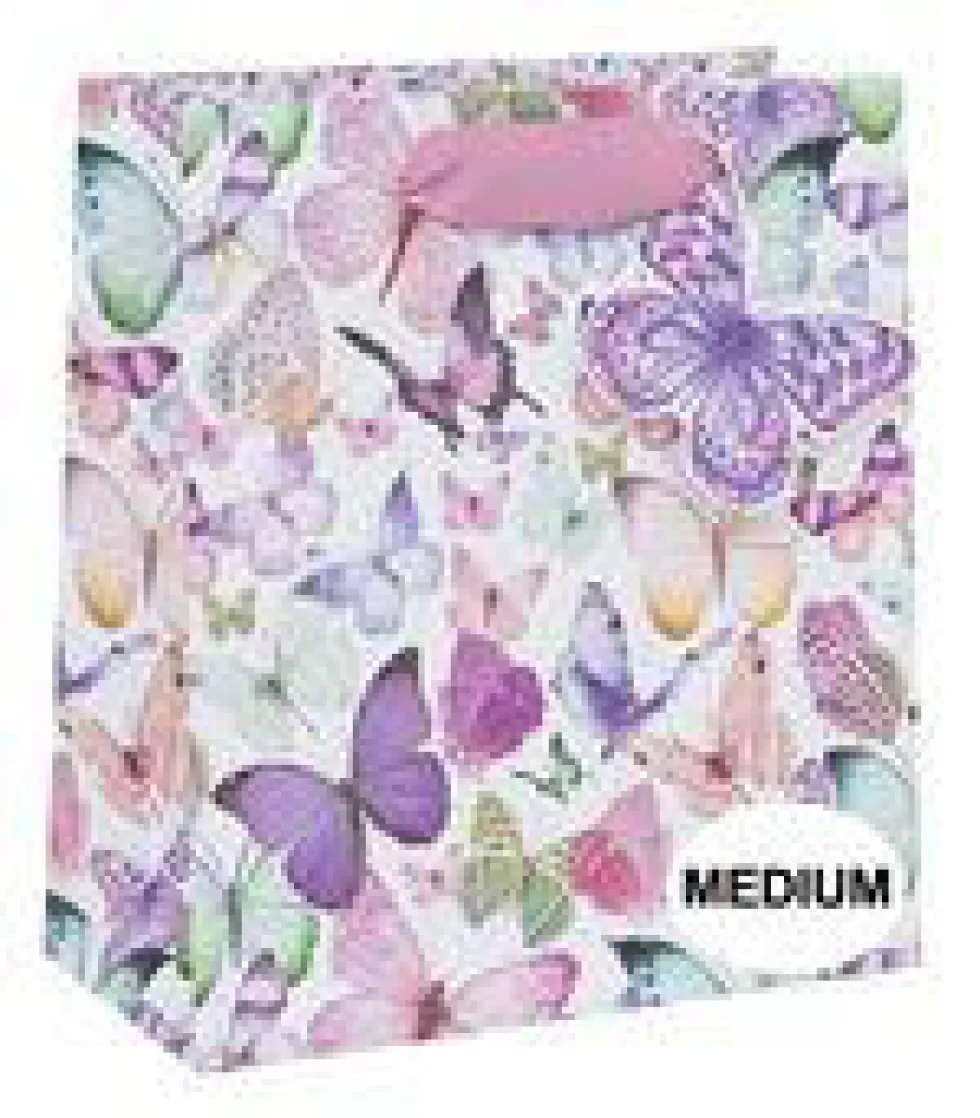 Sac cadeau multicolore à motifs Pictura