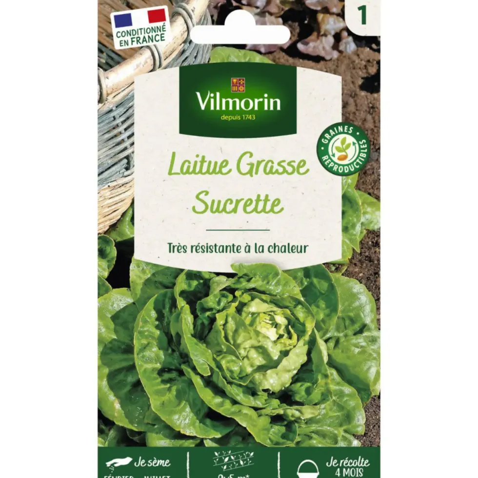 Sachet de laitue Grasse Sucrette