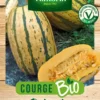 Sachet de semences potagères graine de courge delicata