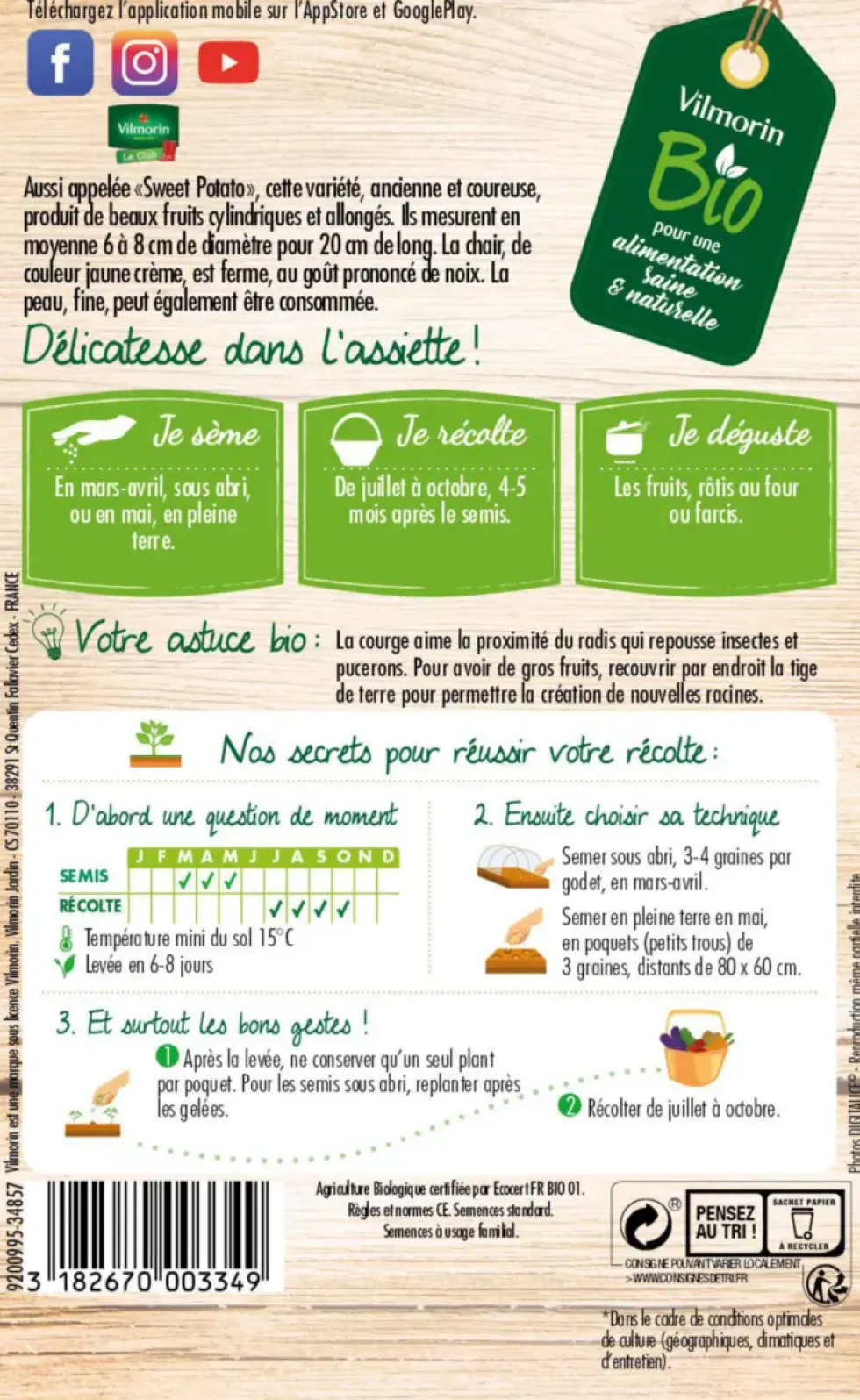 Sachet de semences potagères graine de courge delicata