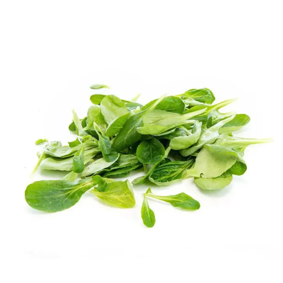 Salade mâche bio de France - Prix au kg