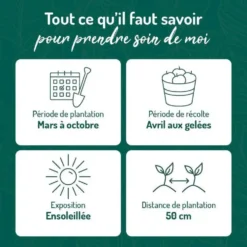 Sauge Officinale Bio. Le pot de 2,5 litres