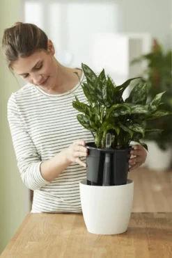 Self-watering insert d’arrosage automatique living noir Elho - 24 cm