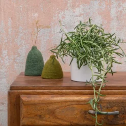 Senecio radicans en pot blanc émaillé H 10 x Ø 15 cm