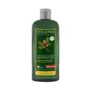 Shampoing brillance et réparation argan 250 ml