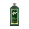 Shampoing reflets à la camomille bio en flacon de 250 ml