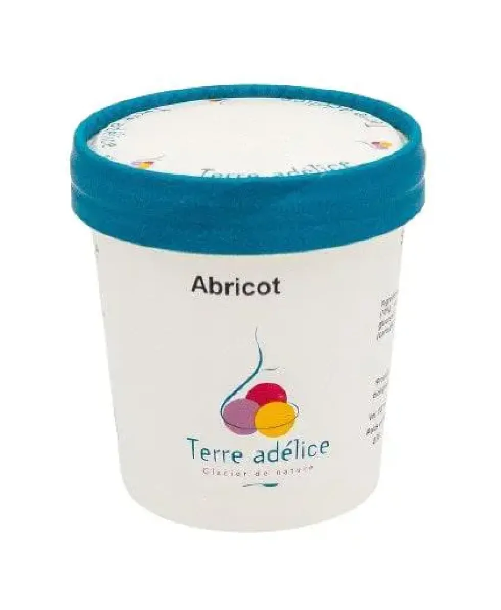 Sorbet abricot Terre Adélice - Pot de 120 ml