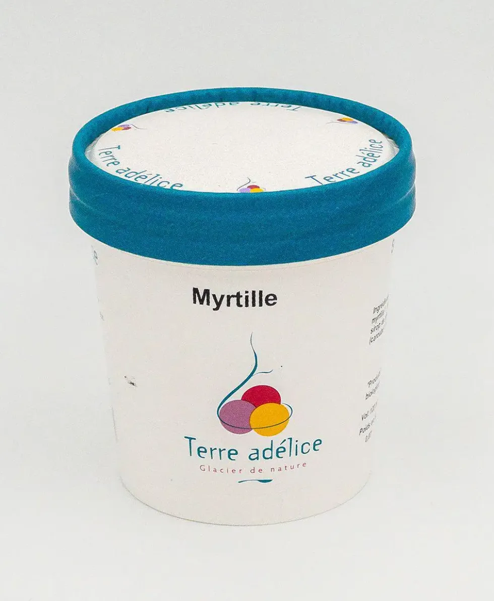 Sorbet myrtille sauvage Terre Adélice - Pot de 120 ml