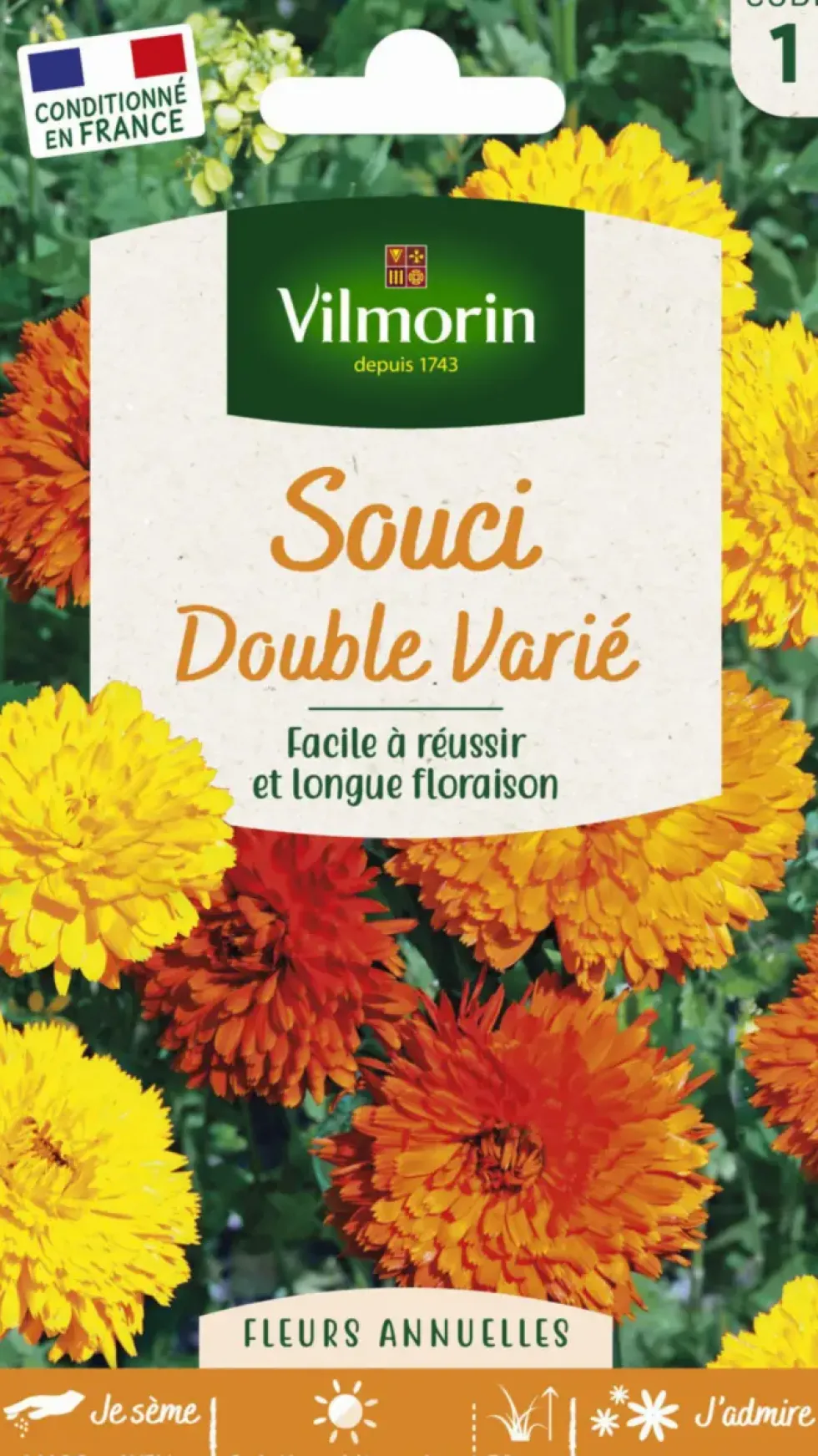 Souci Double varié Vilmorin - graines à semer
