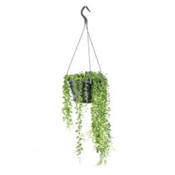 Suspension mix - Ø 14 cm