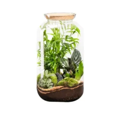 Terrarium autonome botanic® Bonbonne Classic Mix - Taille M Ø 23 cm H 41 cm