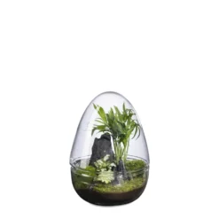 Terrarium autonome Dyno Landscape botanic® - taille M