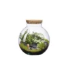 Terrarium autonome Havana Landscape botanic® - taille S
