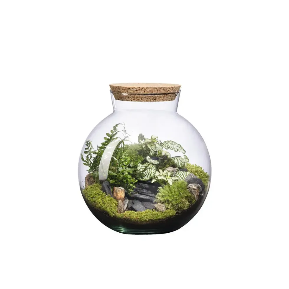 Terrarium autonome Havana Landscape botanic® - taille S