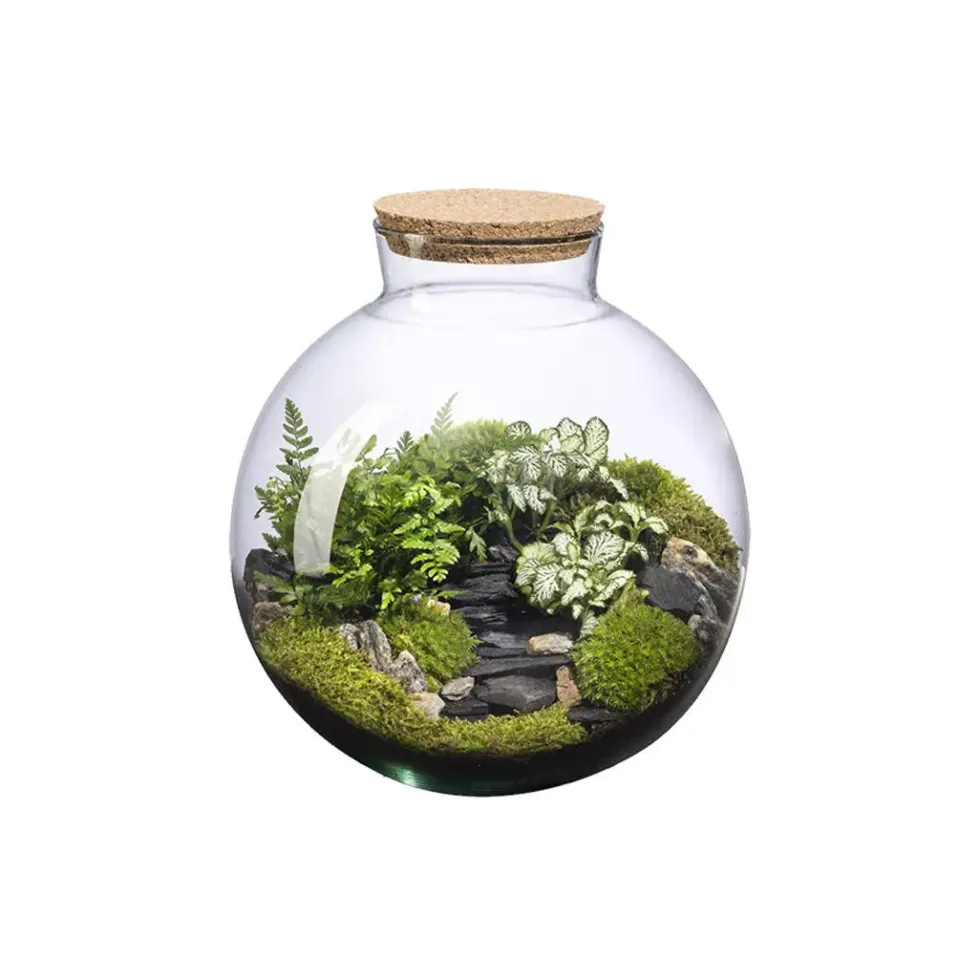 Terrarium autonome Havana Landscape botanic® - taille L