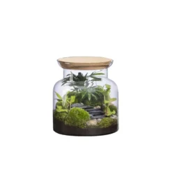 Terrarium autonome Jungle Landscape botanic® - taille S