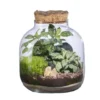Terrarium autonome Mensa S botanic® - Ø 10-19 x 21 cm