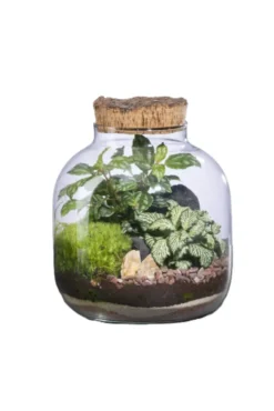 Terrarium autonome Mensa S botanic® - Ø 10-19 x 21 cm