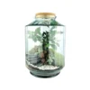 Terrarium autonome Napoli L botanic® - Ø 25 x 37 cm