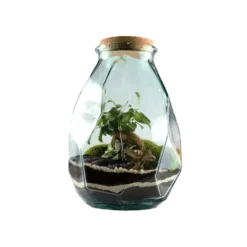 Terrarium autonome Origami L botanic® - Ø 22 x 37 cm
