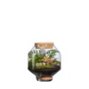 Terrarium autonome Solu M botanic® - Ø 17 x 20 cm