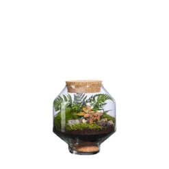 Terrarium autonome Solu M botanic® - Ø 17 x 20 cm