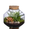 Terrarium autonome Solu M botanic® - Ø 10,3-17 x 20 cm