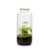 Terrarium Bonbonne en verre transparent Naturalys taille L - Ø 23 x 51 cm