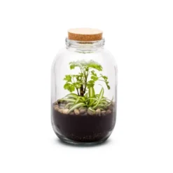 Terrarium Bulle de Nature Naka en verre transparent avec bouchon liège Naturalys - Ø 12,5 x 26 cm