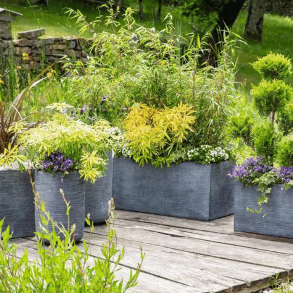 Terreau arbres et arbustes botanic®
