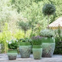 Terreau de rempotage botanic®