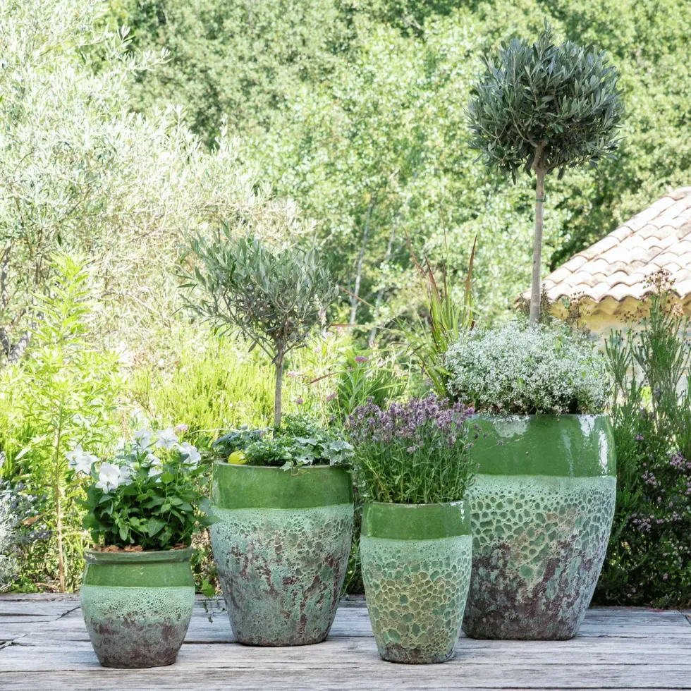 Terreau de rempotage botanic®