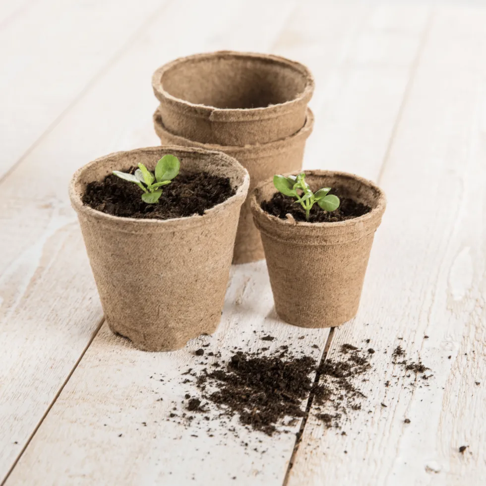Terreau pour semis et bouturage botanic®