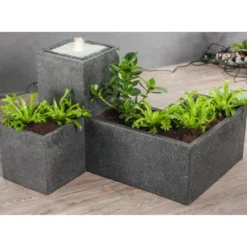 Thalia dealbata en pot design de 10 L