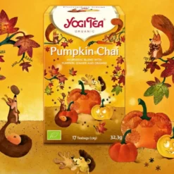Thé pumpkin chai bio Yogi Tea