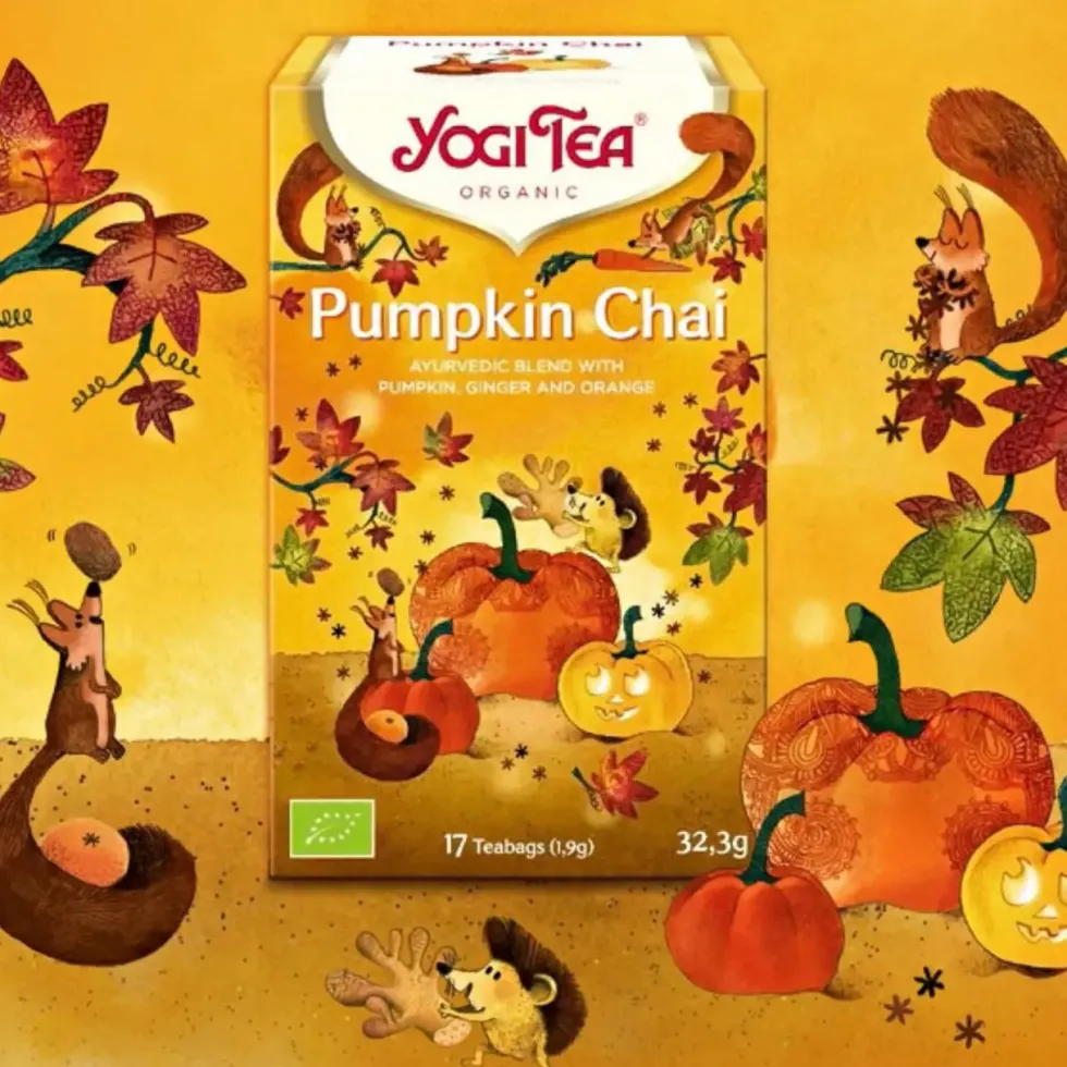 Thé pumpkin chai bio Yogi Tea