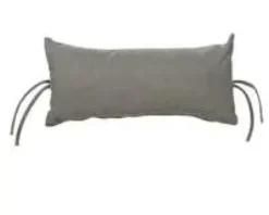 Thuya d’Orient ou Thuya de Chine Aurea nana. Le pot de 25 litres, 60/90 cm