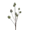 Tige de pavots verte en silicone Naturalys - 66 cm