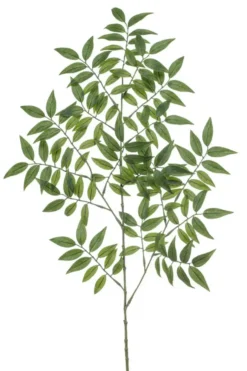 Tige de Ruscus artificiel vert - Ø 38 x H 95 cm