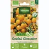 Tomate Cocktail Clémentine Bio Vilmorin - graines à semer