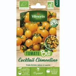Tomate Cocktail Clémentine Bio Vilmorin - graines à semer