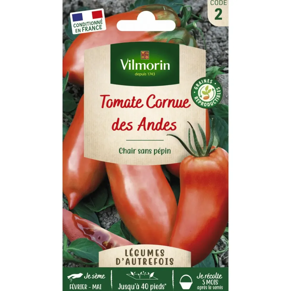 Tomate Cornue des Andes Vilmorin - graines à semer